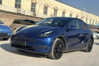 特斯拉 Model Y 2021款 长续航全轮驱动版 3D7