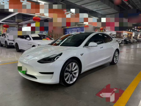 特斯拉 Model 3 2019款 标准续航后驱升级版