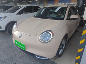 欧拉好猫 2022款 莫兰迪版 400km标准续航 豪华型 磷酸铁锂