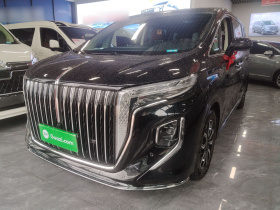 红旗HQ9 2024款 2.0T 商务版