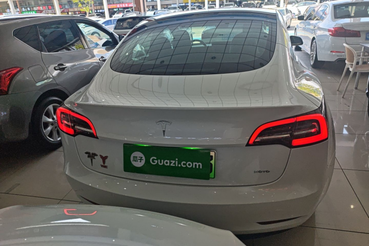 特斯拉 Model 3(进口) 2019款 标准续航后驱升级版(60度)车身外观6