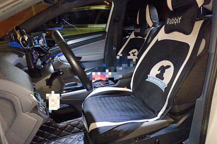 大众 ID.4 CROZZ 2021款 长续航PRO两驱版局部细节19