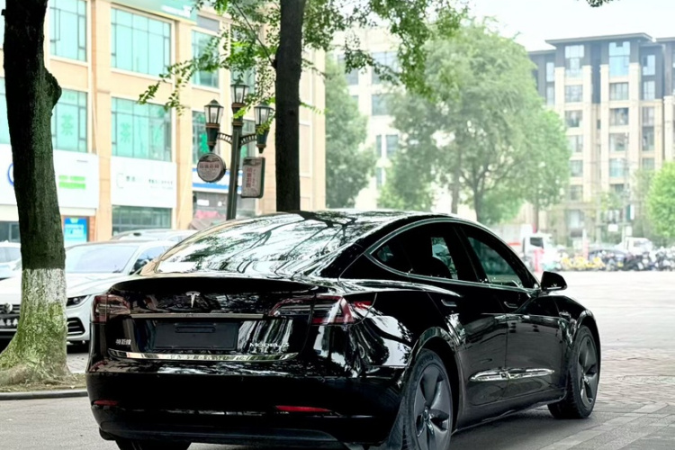 特斯拉 Model 3 2020款 改款 标准续航后驱升级版车身外观6003