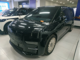 极氪009 2022款 改款 WE版