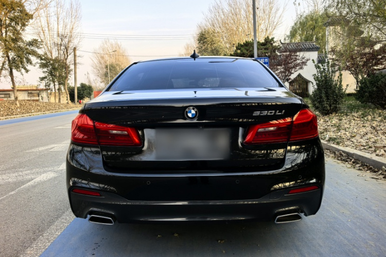 宝马5系 2020款 530Li 尊享型 M运动套装车身外观6005