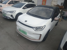 思皓 2022款 花仙子款 四叶草