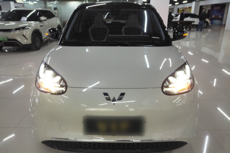 五菱汽车 五菱缤果 2024款 410km 灵犀尊享款车身外观6001