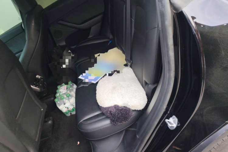 特斯拉 Model Y 2022款 改款 长续航全轮驱动版中控内饰21