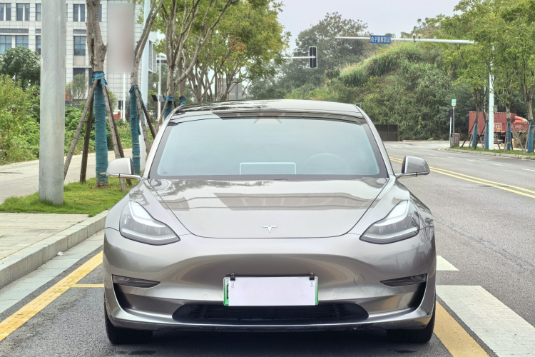 特斯拉 Model 3 2020款 改款 长续航后轮驱动版车身外观6006