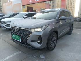 奇瑞 瑞虎8 PRO 2024款 冠军版 290T 两驱巅峰版 7座