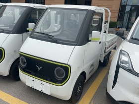 大力牛魔王D02 2023款 120km 栏板舒适型