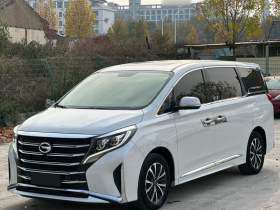 广汽传祺 传祺M8 2023款 领秀系列 390T 尊享版