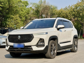 宝骏RS-5 2019款 1.5T CVT智能驾控豪华版 国VI