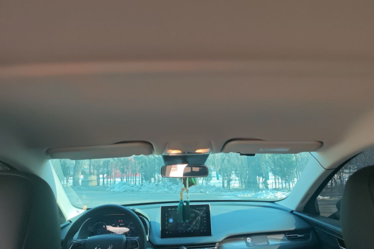 红旗E-QM5 2022款 431km 充电乐享版中控内饰22