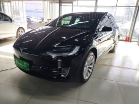 特斯拉 Model X 2019款 长续航版