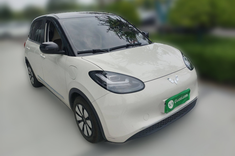 五菱汽车 五菱缤果 2024款 333km 灵犀互联款车身外观6002