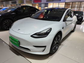 特斯拉 Model 3 2021款 标准续航后驱升级版 3D6