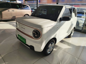 吉利银河 2024款 熊猫mini 200km 耐力熊