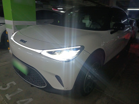 smart精灵#1 2022款 Pulse心动版