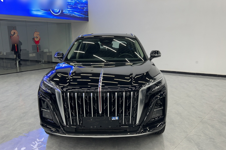 红旗HS3 PHEV 2024款 PHEV 115km 劲为版车身外观6001