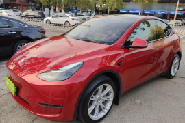 特斯拉 Model Y 2021款 标准续航后驱版