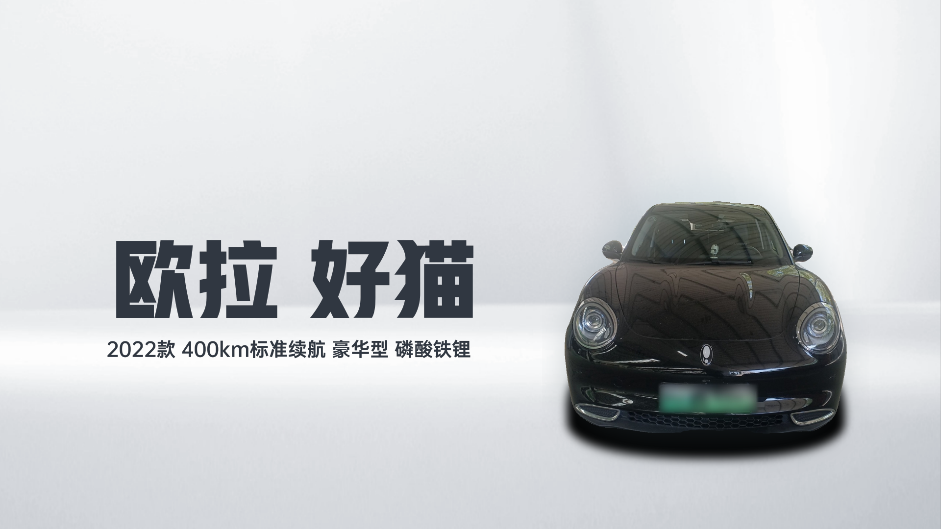欧拉好猫 2022款 400km标准续航 豪华型 磷酸铁锂解读1