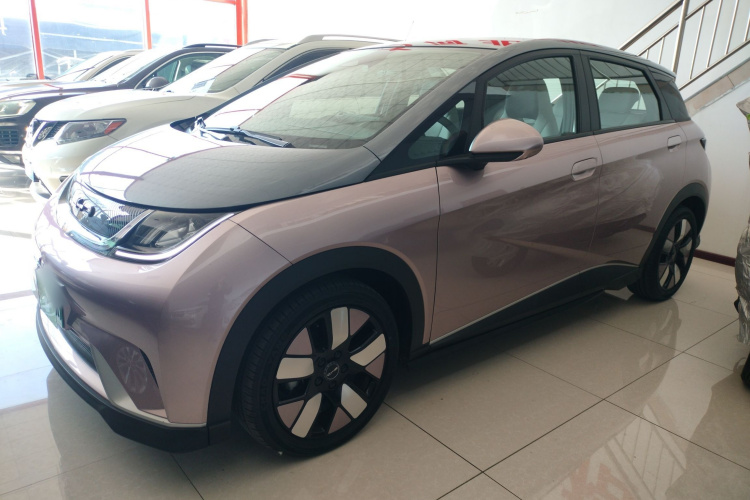 比亚迪 海豚 2021款 401km 骑士版车身外观4