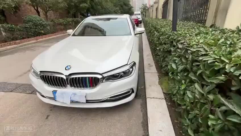 宝马5系 2020款 530Li 领先型 豪华套装检测视频1
