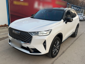 哈弗H6 2024款 1.5T 两驱经典版