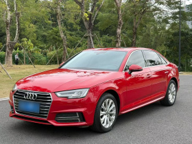 奥迪A4L 2019款 40 TFSI 进取型 国VI