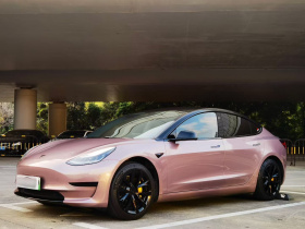 特斯拉 Model 3 2020款 标准续航后驱升级版