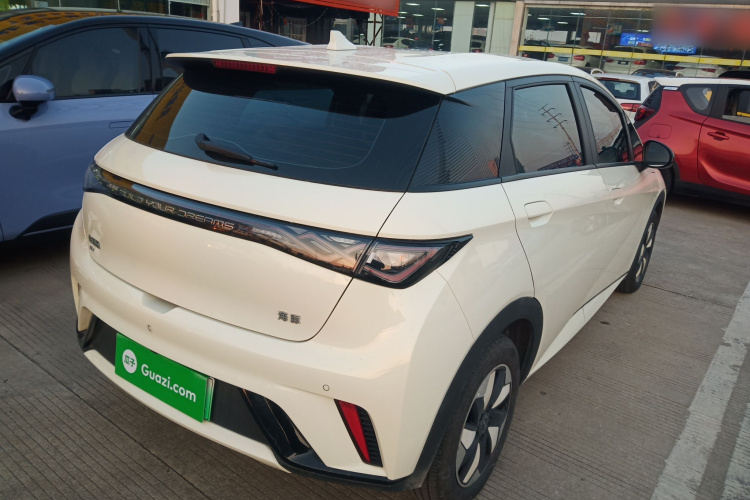 比亚迪 海豚 2024款 荣耀版 420km 自由版车身外观7