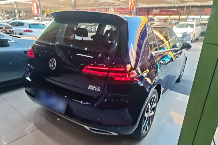 大众 高尔夫 2018款  230TSI 自动豪华型车身外观6005