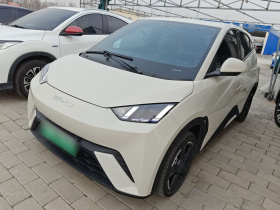 比亚迪 海鸥 2023款 飞翔版