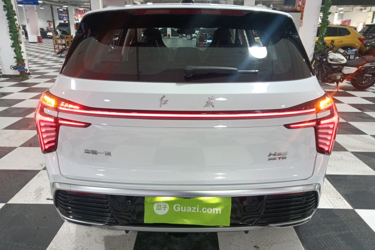 红旗HS3 2024款 1.5T 善为版车身外观6004