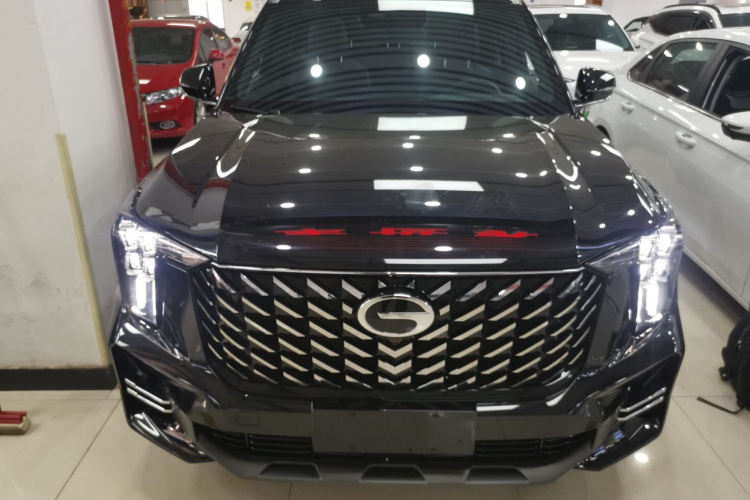 广汽传祺 传祺GS8 2024款 领航系列 2.0TGDI 两驱豪华智联版车身外观2