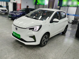 长安欧尚 奔奔E-Star 2020款 心动版 磷酸铁锂（31.18kWh）