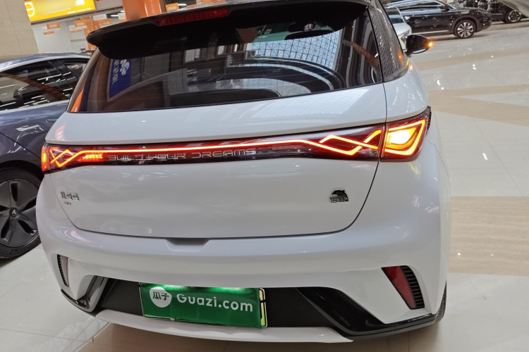 比亚迪 海豚 2021款 405km 时尚版车身外观6