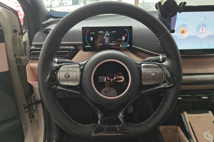 比亚迪 海鸥 2024款 荣耀版 305km 自由版局部细节13