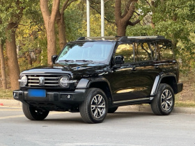 坦克300 2024款 2.0T 穿越者