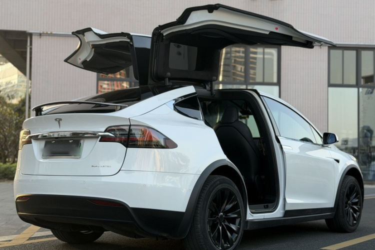 特斯拉 Model X 2019款 长续航版车身外观6001