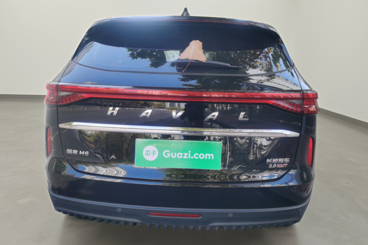 哈弗H6 2024款 2.0T 两驱Max车身外观6