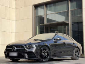 奔驰CLS 2021款 CLS 300 豪华型