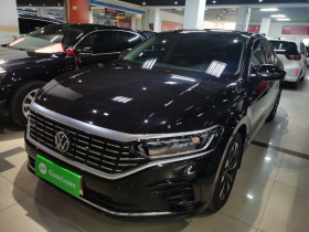 大众 帕萨特 2023款 330TSI 精英版