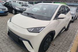 比亚迪 海鸥 2023款 活力版