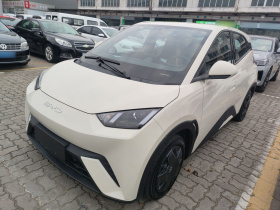 比亚迪 海鸥 2023款 活力版