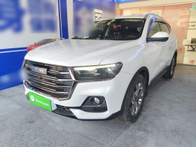 哈弗H6 2021款 国潮版 1.5T 自动冠军版