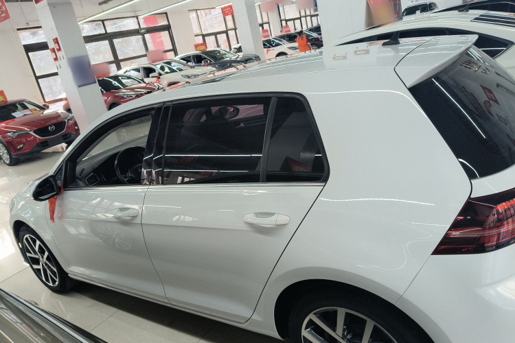 大众 高尔夫 2020款 挚爱版 280TSI DSG豪华型车身外观6005