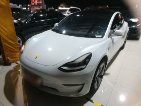 特斯拉 Model 3 2020款 改款 长续航后轮驱动版