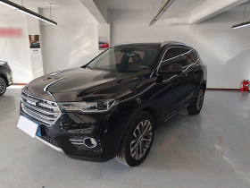 哈弗H6 2017款 蓝标 2.0T 自动两驱领尚型